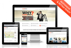 CleanSpace WordPress Theme